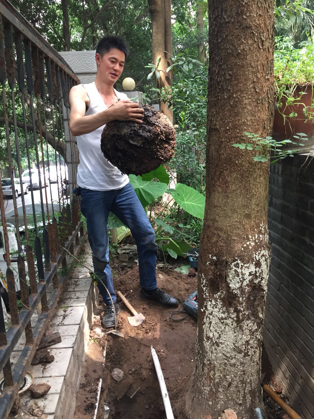 白蟻防治現(xiàn)場