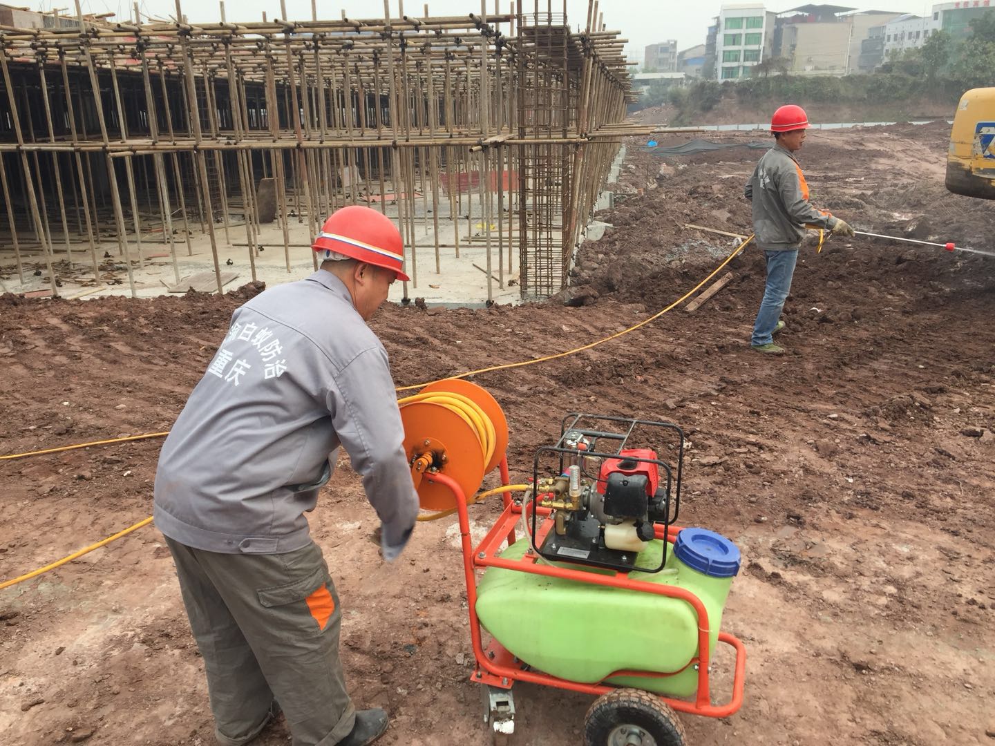 白蟻防治現(xiàn)場