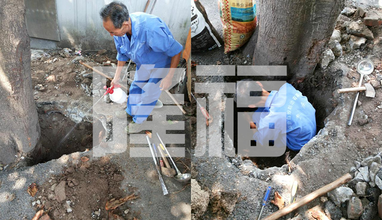 白蟻防治現(xiàn)場(chǎng)