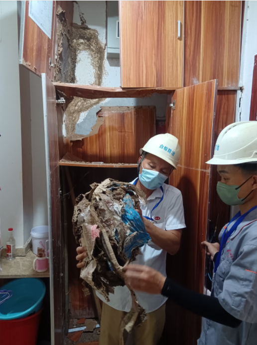 白蟻防治現(xiàn)場(chǎng)