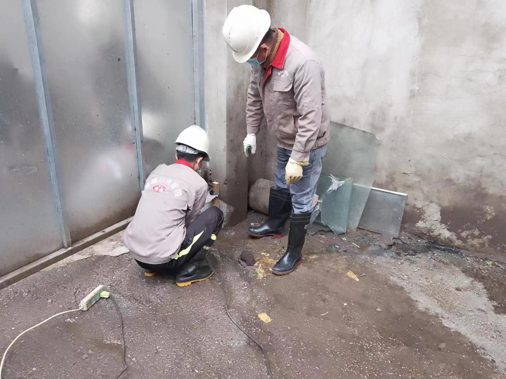 害蟲防控現場（公共環境滅鼠）